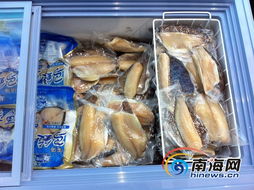 海南水產(chǎn)品現(xiàn)狀解讀 依賴出口、內(nèi)銷滯后，亟待轉(zhuǎn)型升級