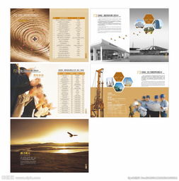 軟件開(kāi)發(fā)公司的畫(huà)冊(cè)圖片策劃 視覺(jué)敘事與品牌塑造